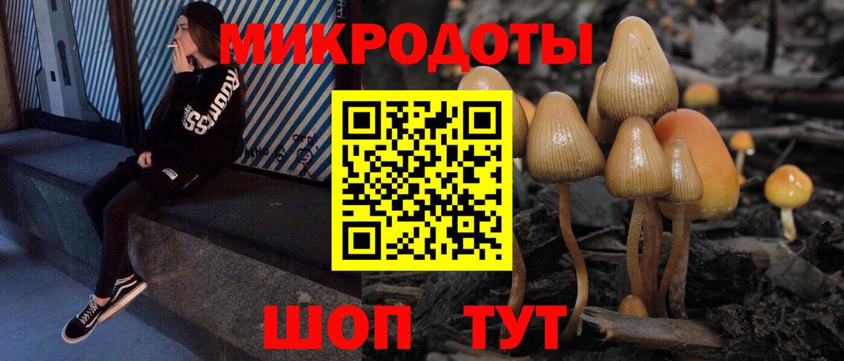 Электрогорск  Галлюциногенные грибы GOLDEN TEACHER  Вход с VPN  Галлюциногенные грибы ЛСД 
